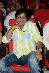 Vinavayya Ramayya Movie Audio Launch
